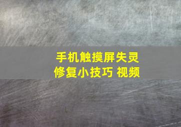 手机触摸屏失灵修复小技巧 视频